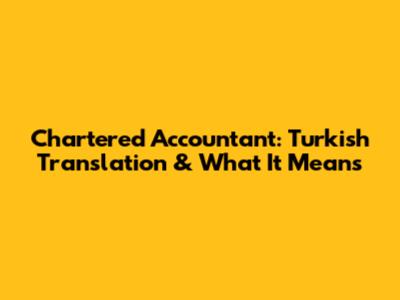 Chartered Accountant: Turkish Translation & What It Means